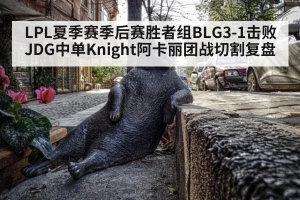 LPL夏季赛季后赛胜者组BLG3-1击败JDG中单Knight阿卡丽团战切割复盘（nine game）